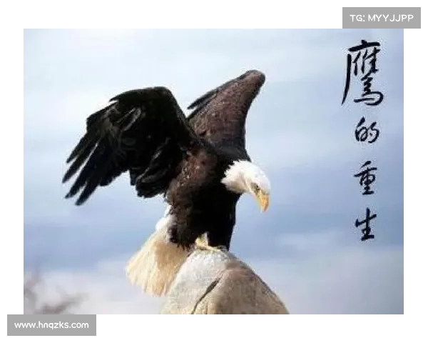 在极限求生中探寻心灵救赎的重要性与人性重生的力量