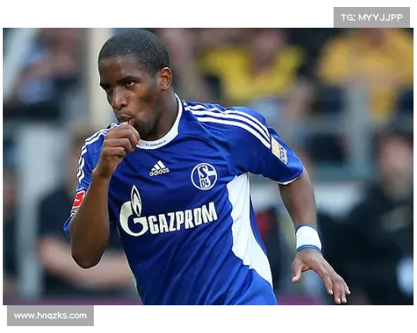 全方位解析法尔范在沙尔克04时期所担当的不同场上位置与技战术角色 全方位解析法尔范在沙尔克04时期所担当的不同场上位置与技战术角色