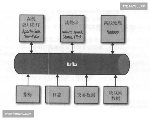 全面解析澳洲杯赛事性质与竞技水平的权威深度剖析全景解读指南篇
