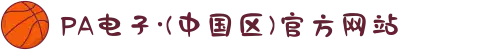 PA电子·(中国区)官方网站